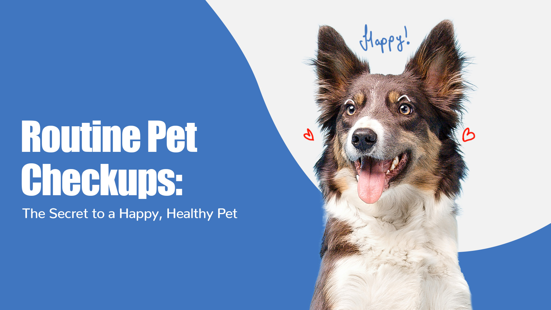 Unlock the Secret to a Longer, Healthier Life for Your Pet!