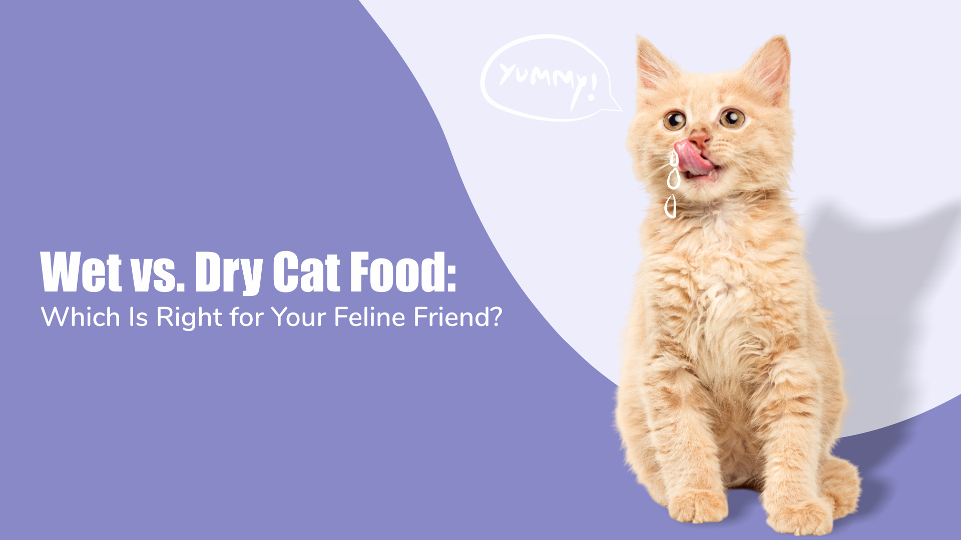 Wet vs. Dry Cat Food: Which Is Right for Your Feline Friend?