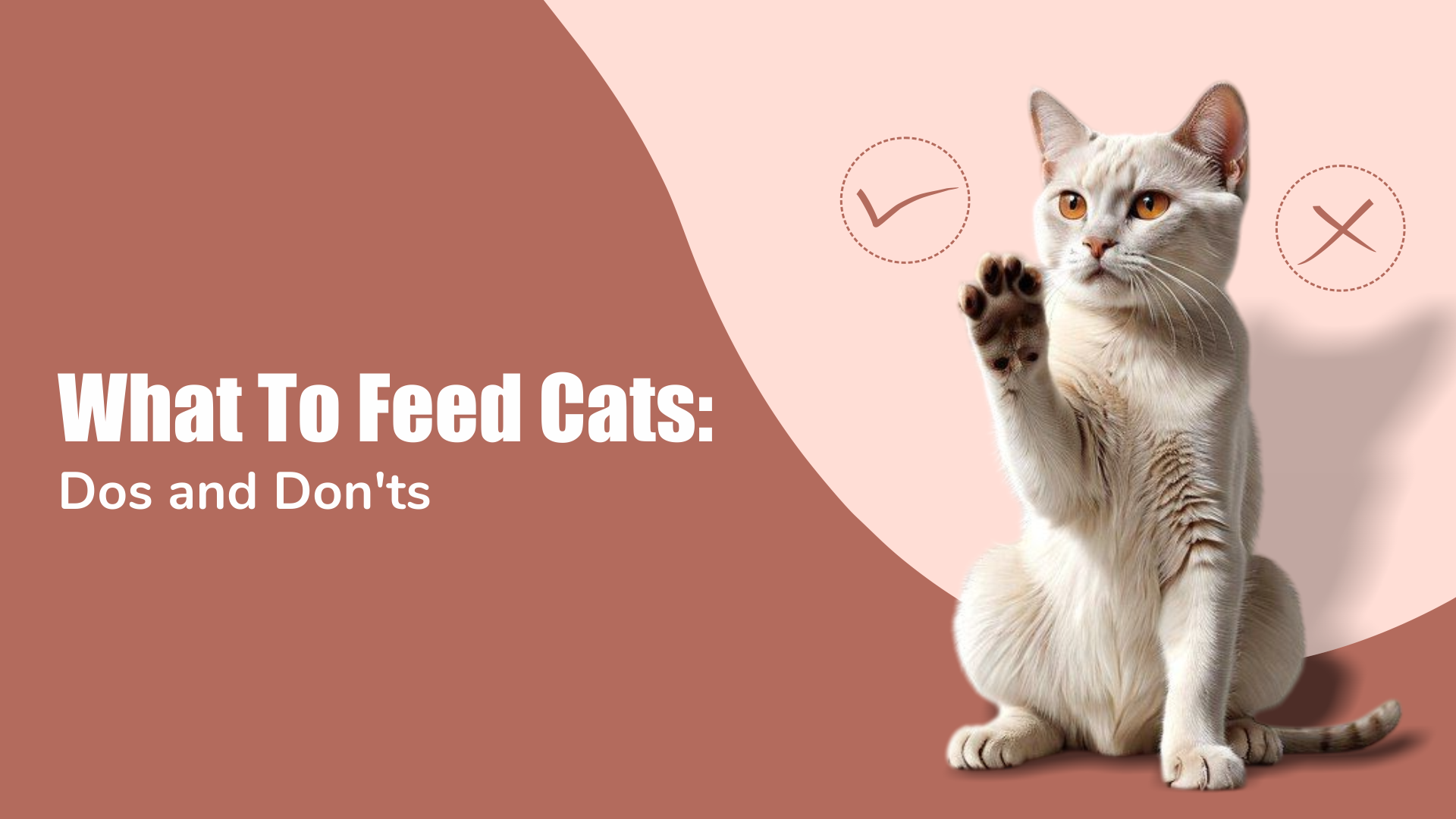 What Cats Can Eat: A Guide to Cat Feeding and Nutrition