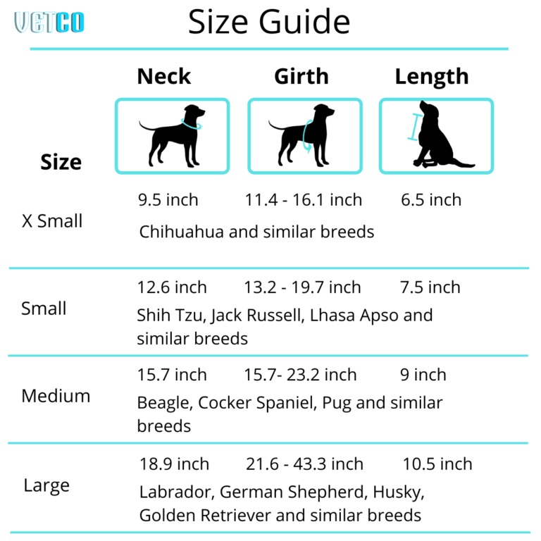 Buy Zee Dog Ella Air Mesh Plus Dog Harness Online | Premium Dog ...