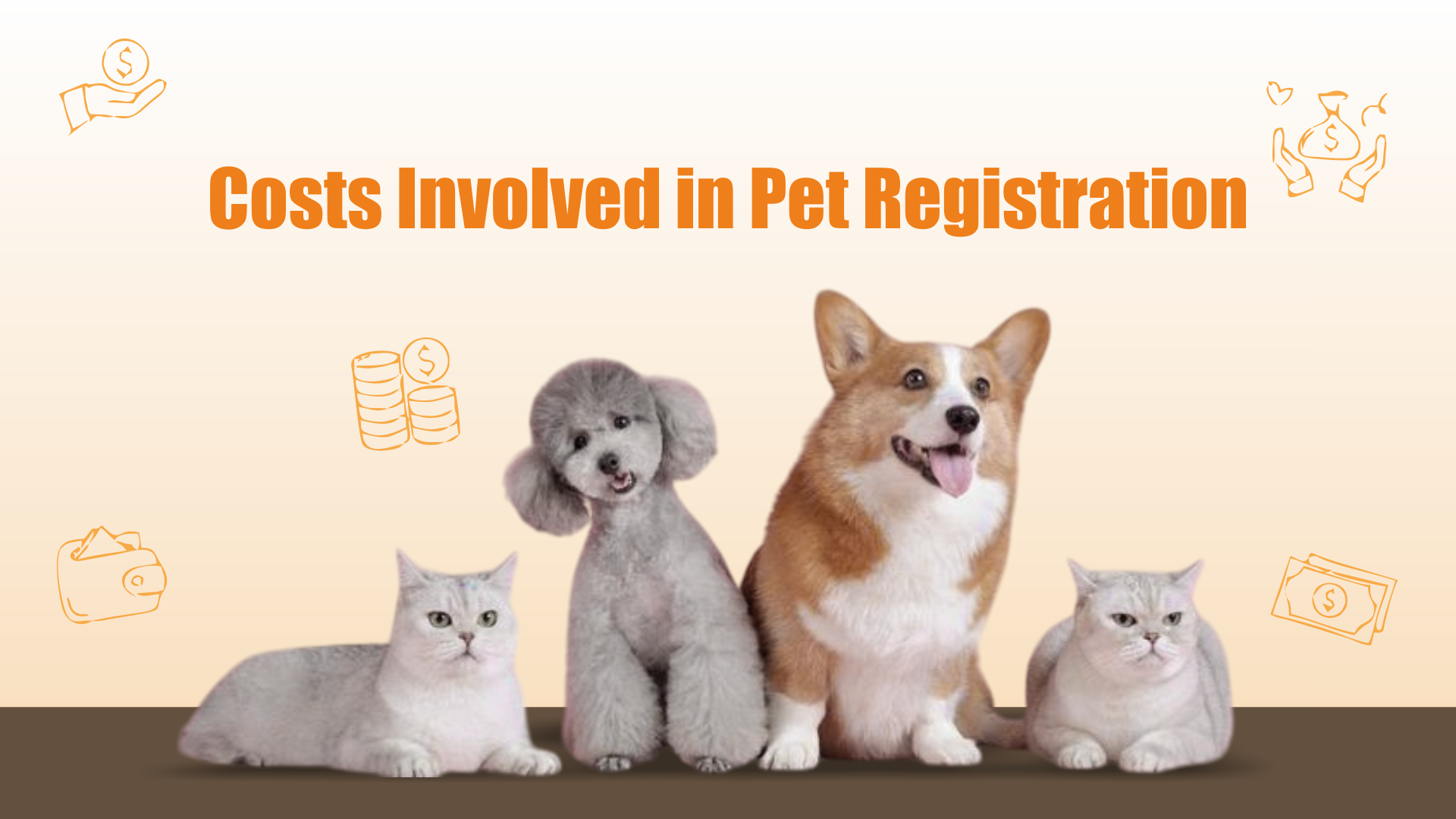 cost involved in pet registration