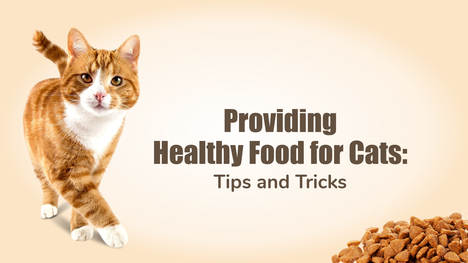 Healthy-cat-food
    