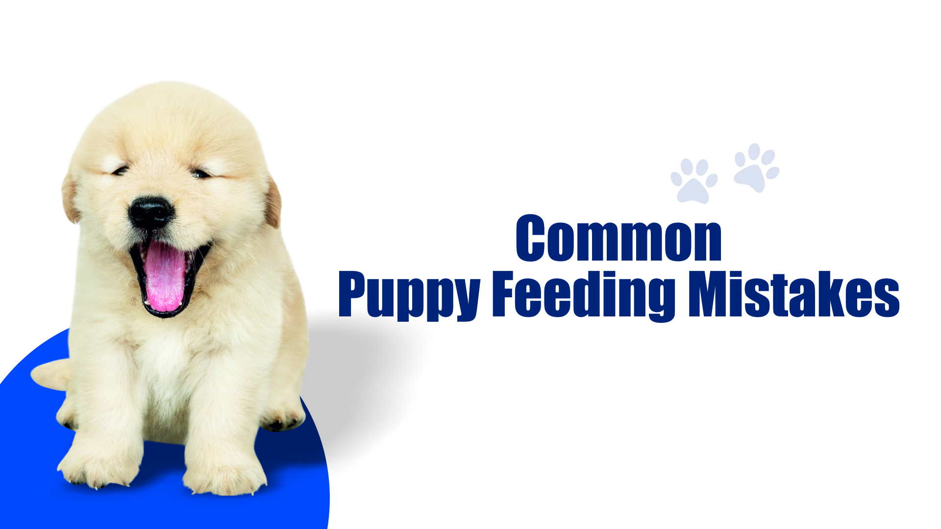 Puppy feeding Guide
    